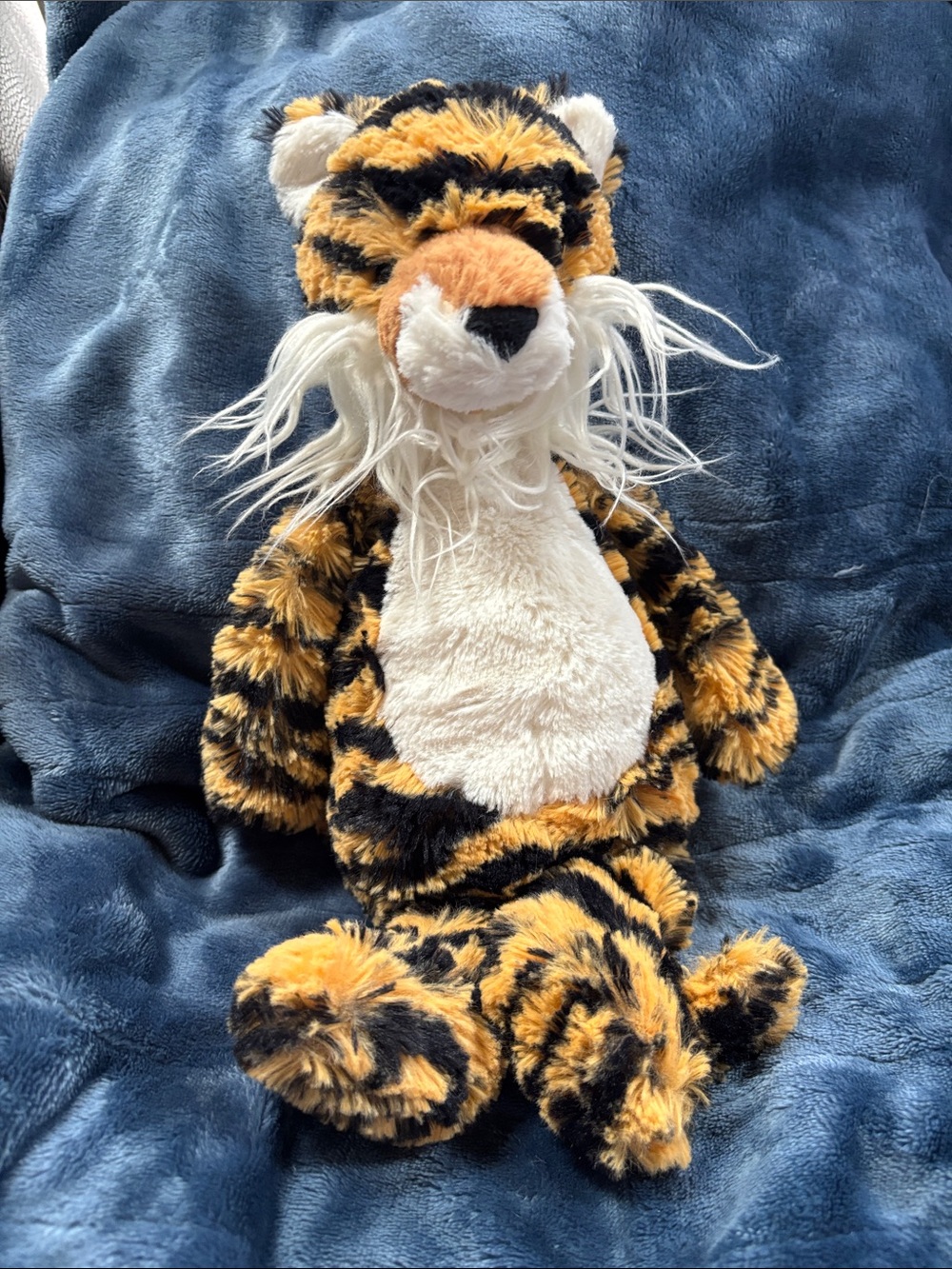 Medium Bashful Jellycat Tiger Plush-retired
